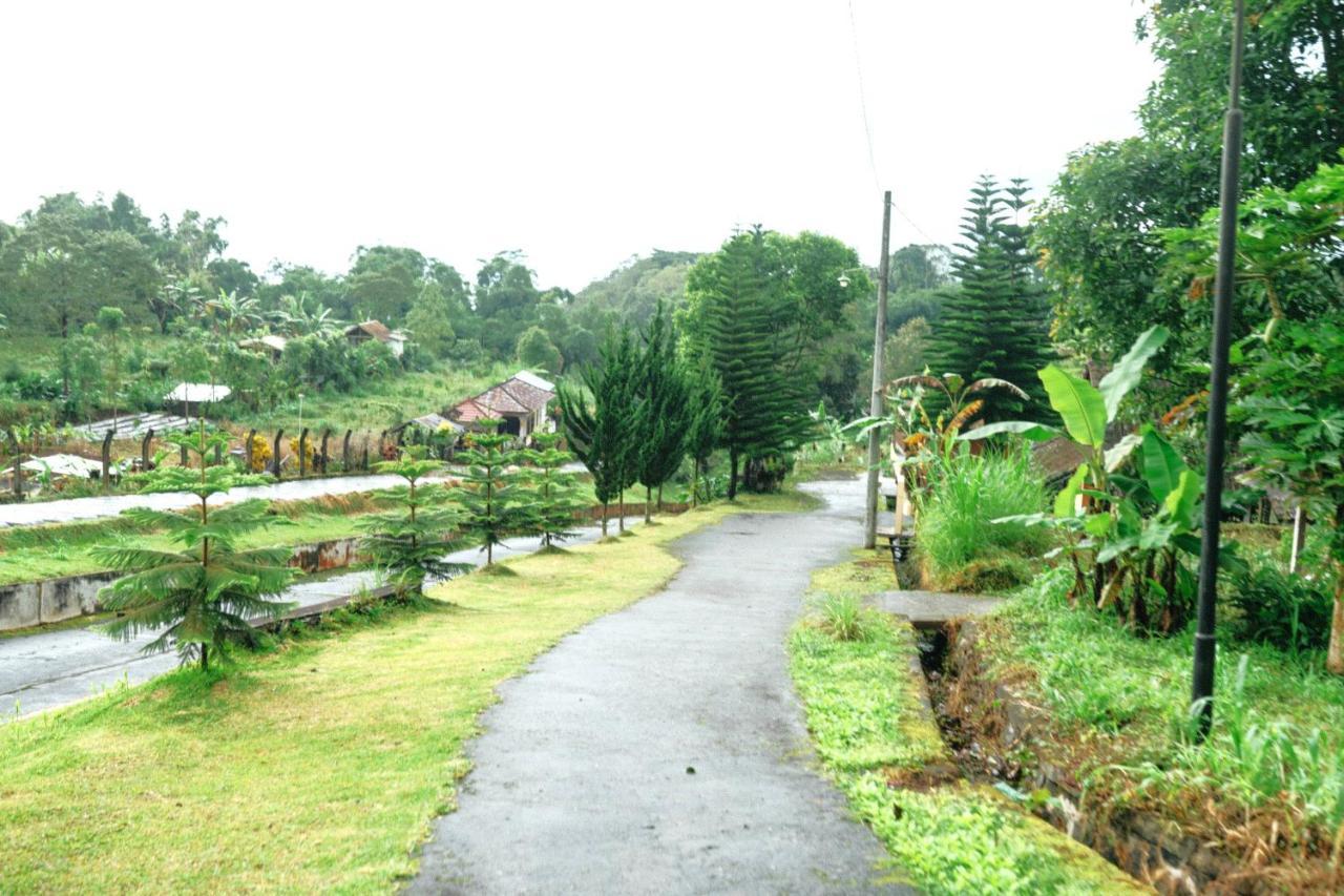 Tunjung Sari Villa Bedugul Bedugul  Exterior photo
